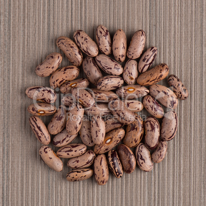 Circle of pinto beans