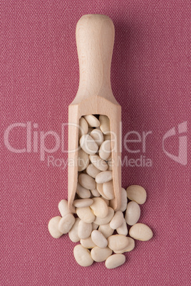 Wooden scoop with white beans