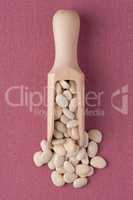 Wooden scoop with white beans