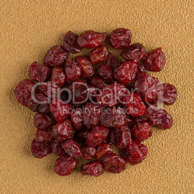 Circle of dried cranberries