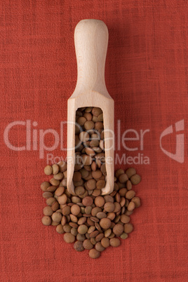 Wooden scoop with lentils