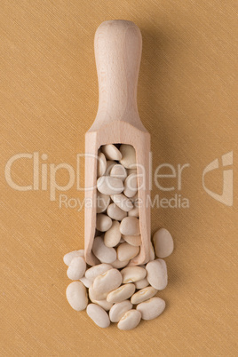 Wooden scoop with white beans