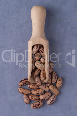 Wooden scoop with pinto beans