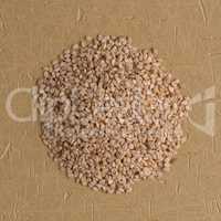 Circle of sesame seeds