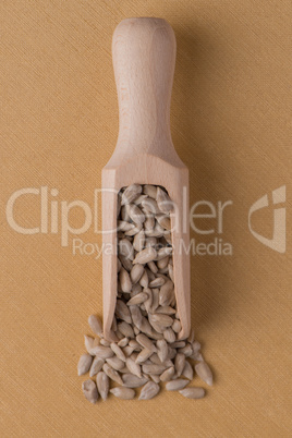 Wooden scoop with shelled sunflower seeds