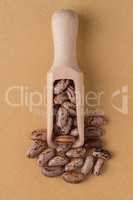 Wooden scoop with pinto beans