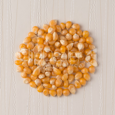 Circle of corn