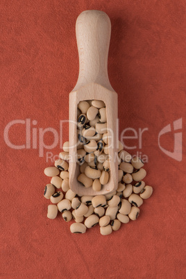 Wooden scoop with white beans