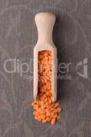 Wooden scoop with  peeled lentils
