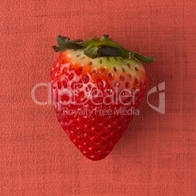 Fresh strawberry