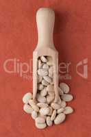 Wooden scoop with white beans