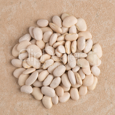 Circle of white beans