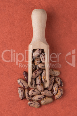 Wooden scoop with pinto beans