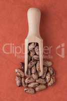 Wooden scoop with pinto beans