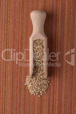 Circle of sesame seeds