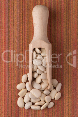 Wooden scoop with white beans