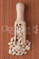 Wooden scoop with white beans