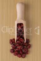 Wooden scoop with dried cranberries