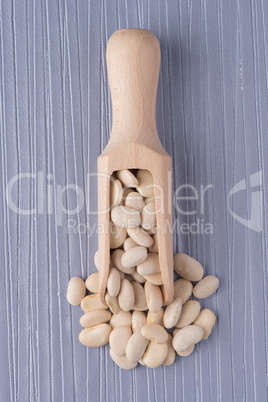 Wooden scoop with white beans