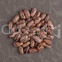 Circle of pinto beans