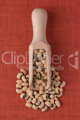 Wooden scoop with white beans