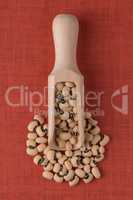 Wooden scoop with white beans