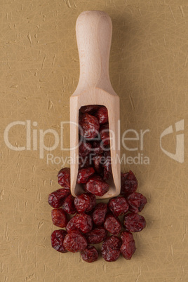 Wooden scoop with dried cranberries