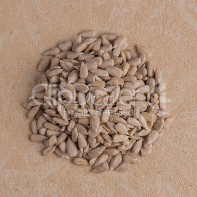 Circle of shelled sunflower seeds