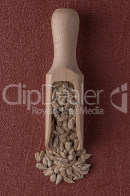 Wooden scoop with shelled sunflower seeds