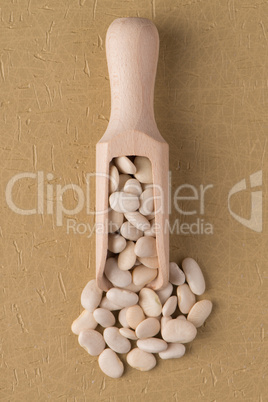 Wooden scoop with white beans