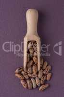 Wooden scoop with pinto beans