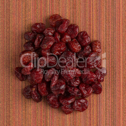 Circle of dried cranberries