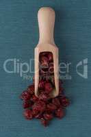 Wooden scoop with dried cranberries