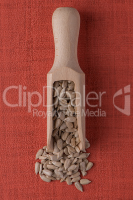 Wooden scoop with shelled sunflower seeds