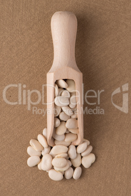 Wooden scoop with white beans