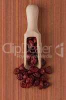 Wooden scoop with dried cranberries