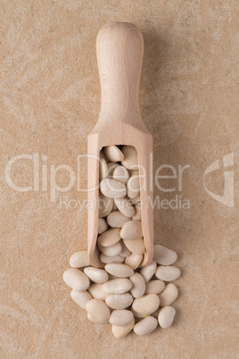 Wooden scoop with white beans