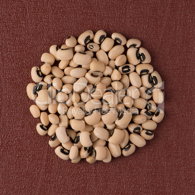 Circle of white beans