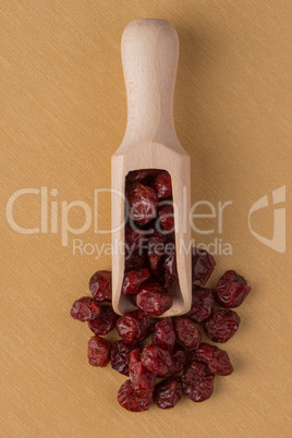 Wooden scoop with dried cranberries