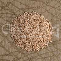 Circle of sesame seeds