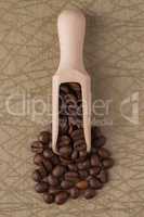 Wooden scoop with coffee beans