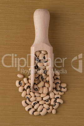 Wooden scoop with white beans