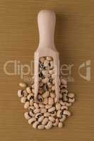 Wooden scoop with white beans