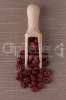 Wooden scoop with dried cranberries