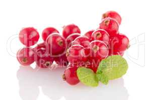 Red Currant
