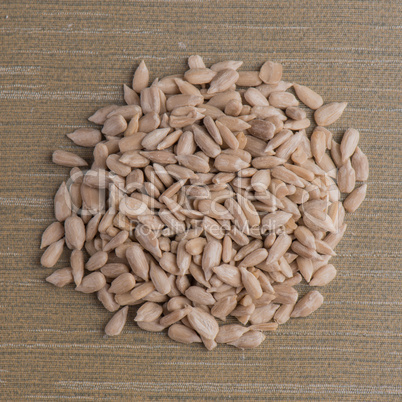 Circle of shelled sunflower seeds