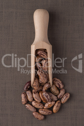 Wooden scoop with pinto beans