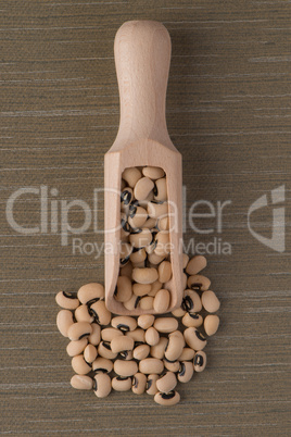 Wooden scoop with white beans Wooden scoop with white beans