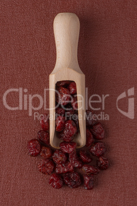 Wooden scoop with dried cranberries