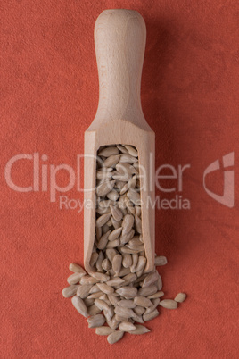 Wooden scoop with shelled sunflower seeds